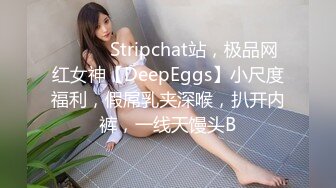 OnlyFan 一日女友的漂亮姐姐 下-终章