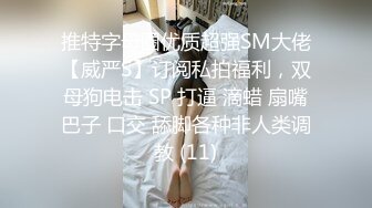 丝袜少妇口交