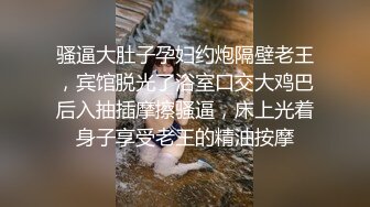 女搜查官特殊手段