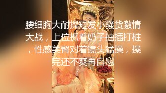 ❤️对白淫荡，极品女神【艾小青】，亚太负责人女经理谈业务勾引客户啪啪，道具肉棒全程骚叫不停