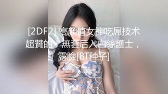 星空素人自制 来自喵咪主人的极致调教