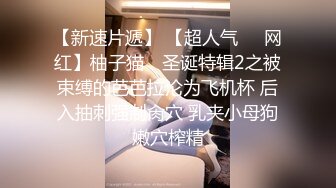 【AI换脸视频】林允儿[Yoona]空姐黑丝长腿诱惑