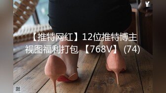 欧美厕所偷拍Pisswc系列合集【39V】 (16)