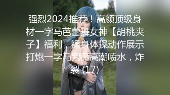 探花黑色连衣裙文静大奶少妇