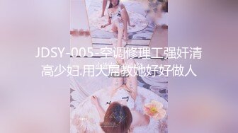 JDSY-005-空调修理工强奸清高少妇.用大屌教她好好做人