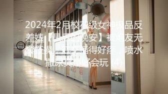 麻豆传媒&amp;兔子先生TZ-048痴女3P後篇激情榨精