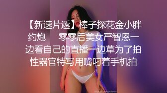 中文字幕无线在线视频观看