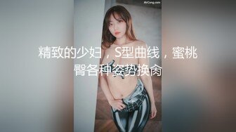 精致的少妇，S型曲线，蜜桃臀各种姿势换肏