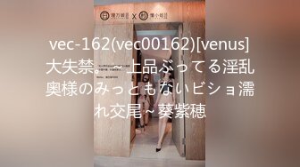 vec-162(vec00162)[venus]大失禁。～上品ぶってる淫乱奥様のみっともないビショ濡れ交尾～葵紫穂