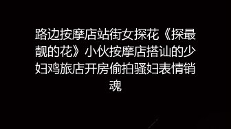 91秦先生最新第十八部-私人订制篇：潜规则巨乳丝袜腿模莉莉108P高清无水印