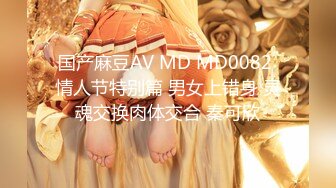 国产麻豆AV MD MD0082 情人节特别篇 男女上错身 灵魂交换肉体交合 秦可欣