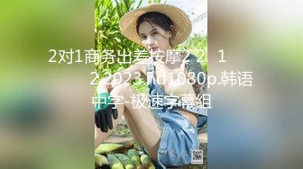 2对1商务出差按摩2 2대1 출장마사지 2.2023.hd1080p.韩语中字-极速字幕组