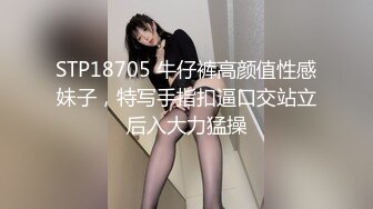 乘风破浪的女优 下 AV完整版