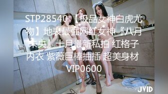 STP28540 【极品女神白虎尤物】地表最强网红女神『八月未央』十月最新私拍 红格子内衣 紫薇巨棒抽插 超美身材 VIP0600