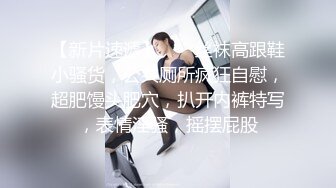 《最新泄密✿反差尤物》推特极品网红巨乳女神【九儿温柔妹妹】定制私拍！摩天轮露出内裤塞进肥美鲍鱼里揉奶调教惊险又刺激