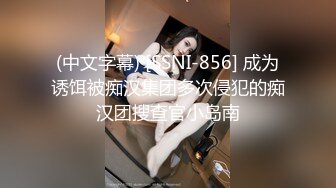 (中文字幕) [SSNI-856] 成为诱饵被痴汉集团多次侵犯的痴汉团搜查官小岛南