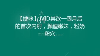 国产麻豆AV MD MD0032 情人节 刘语珊