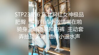 0633出轨少妇的口活