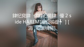 銉忋兗銉儬銉汇偒銉儓 2 side HAREM[瀹囧牬缇╄] [涓枃瀛楀箷]