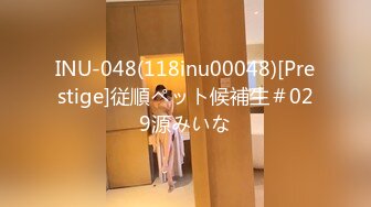 INU-048(118inu00048)[Prestige]従順ペット候補生＃029源みいな