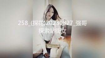 258_(探花)20230827_强哥探索站街女