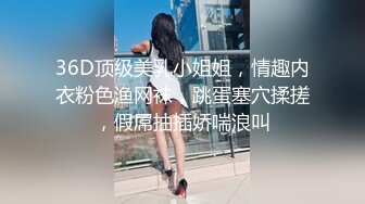 36D顶级美乳小姐姐，情趣内衣粉色渔网袜，跳蛋塞穴揉搓，假屌抽插娇喘浪叫