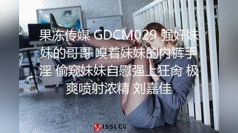 把公司的会计人妻熟女草了