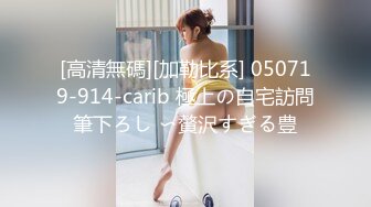 [高清無碼][加勒比系] 050719-914-carib 極上の自宅訪問筆下ろし 〜贅沢すぎる豊