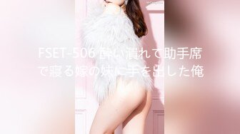 FSET-506 酔い潰れて助手席で寢る嫁の妹に手を出した俺